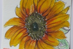 オレンジ　レモン