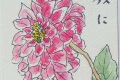 笑顔に会いたい