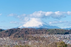 城山公園から石神台と富士山