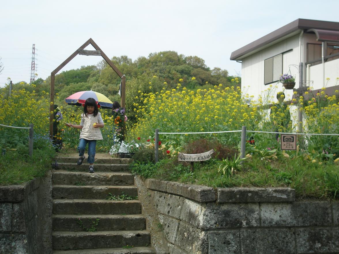 花畑 (2007)
