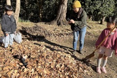 playpark202412_2jpeg