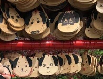 神祇大社でワンコとお参り