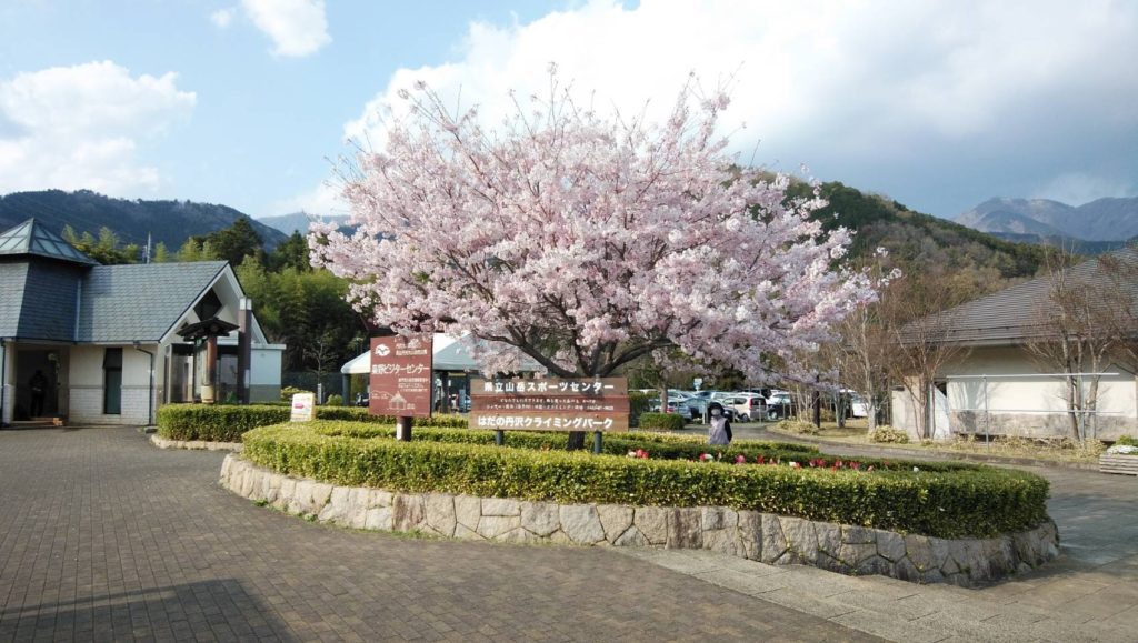 秦野戸川公園 海が見える街 大磯町石神台 秦野戸川公園 海が見える街 大磯町石神台